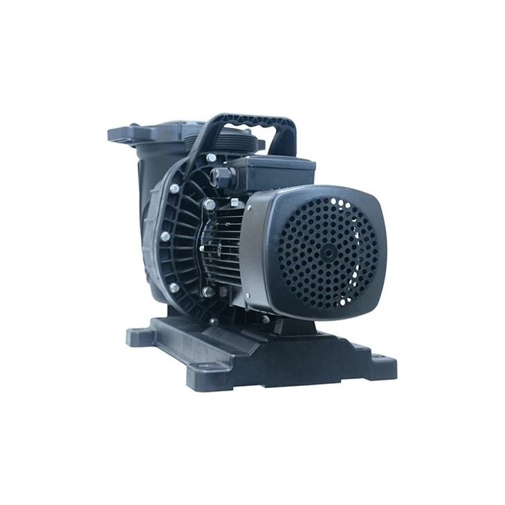 High Efficient Swimming Pool Pumps